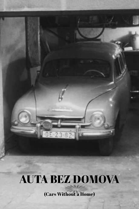 Cars Without a Home